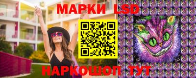 шишки Моздок