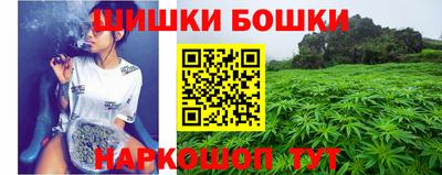 шишки Моздок