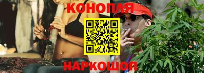 шишки Моздок