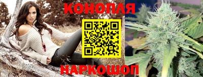 шишки Моздок