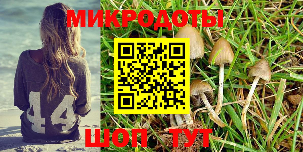 Владикавказ  Псилоцибиновые грибы GOLDEN TEACHER  цены наркотик  Вход с VPN 